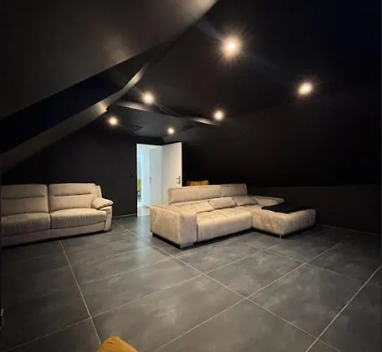 Avec Piscine Intérieure Jacuzzi Et Cinéma * Oisseau